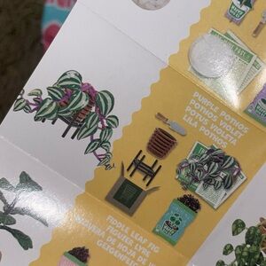 Mini Verse Purple Pothos